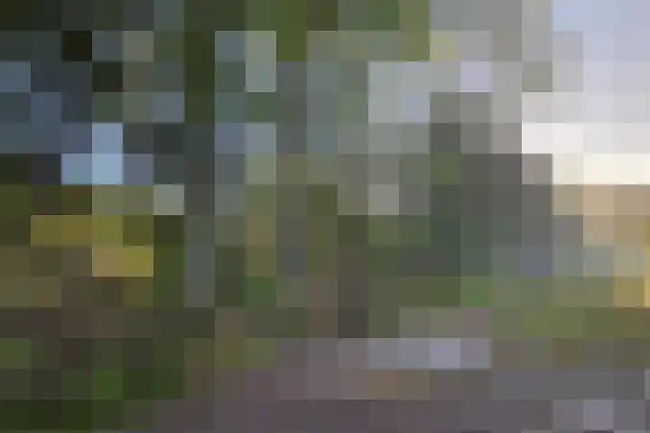 Eekterweg 3 Vaassen thumbnail 33