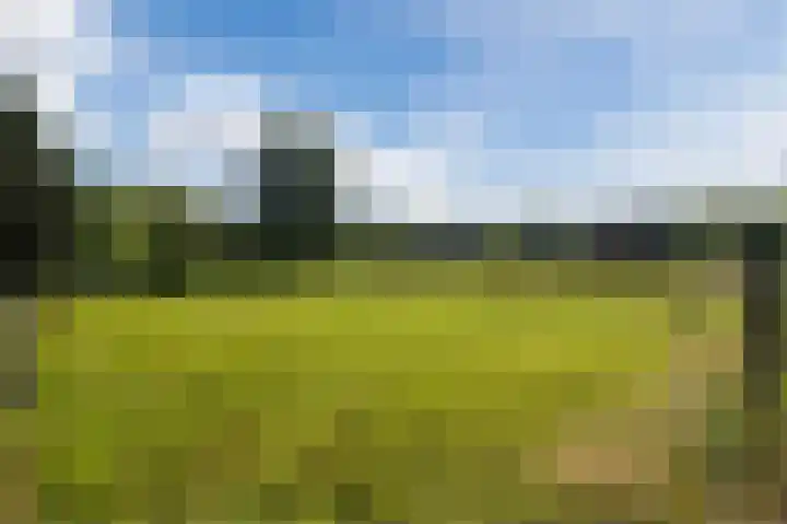 Eekterweg 3 Vaassen thumbnail 34