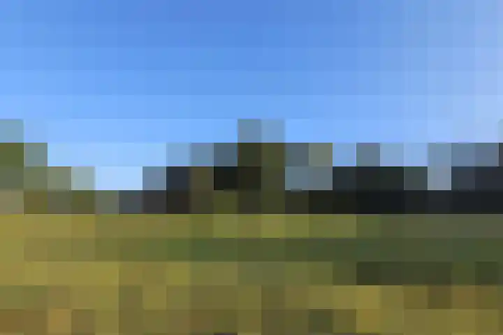 Eekterweg 3 Vaassen thumbnail 36