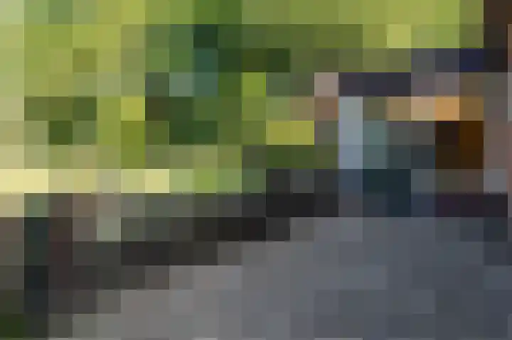 Eekterweg 3 Vaassen thumbnail 39