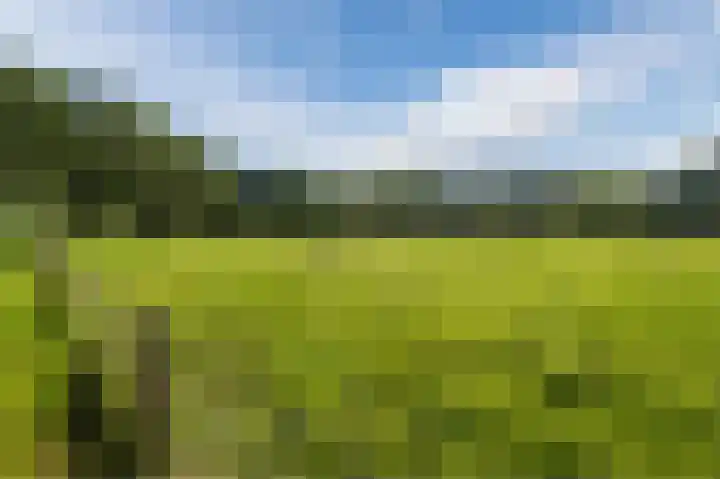 Eekterweg 3 Vaassen thumbnail 4