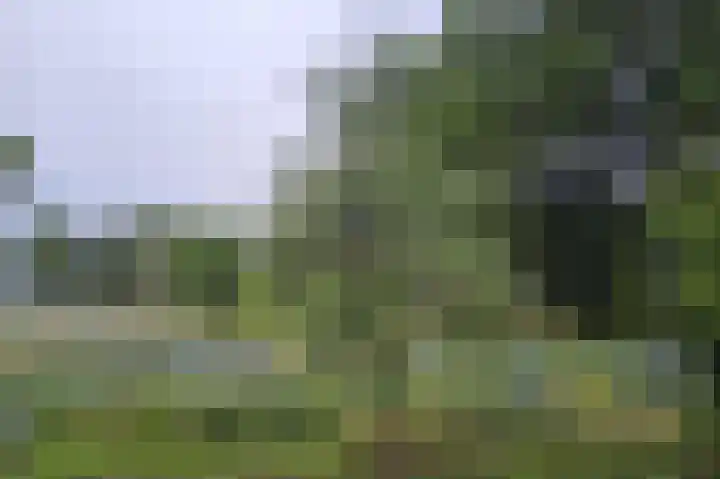 Eekterweg 3 Vaassen thumbnail 40