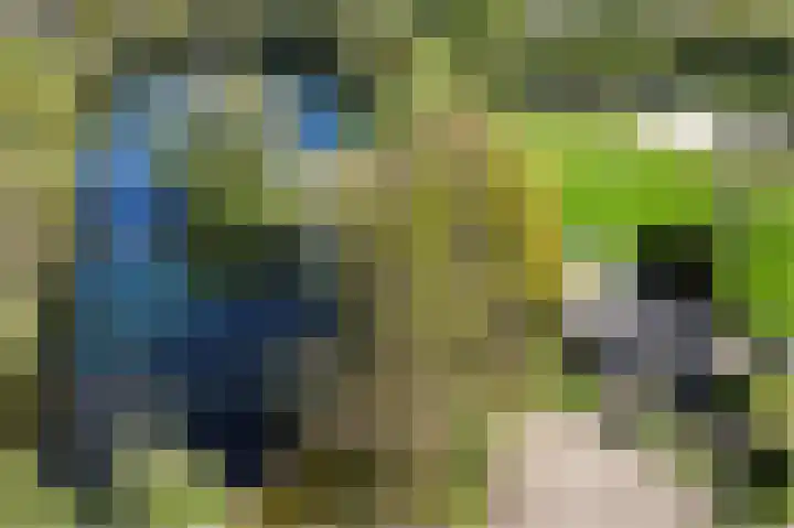 Eekterweg 3 Vaassen thumbnail 42