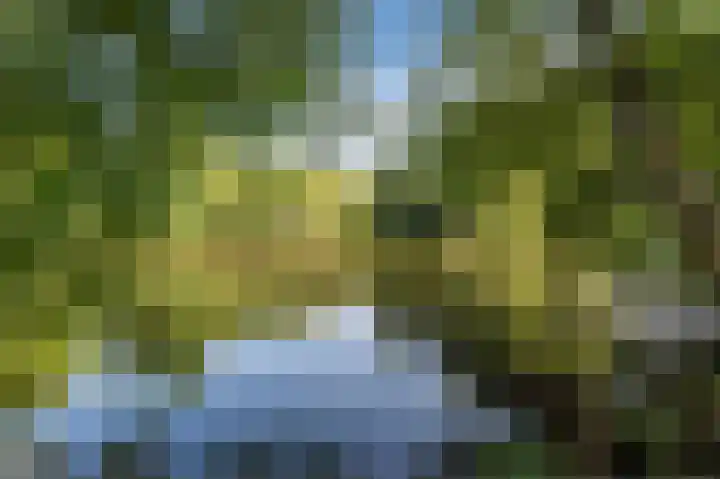 Eekterweg 3 Vaassen thumbnail 43