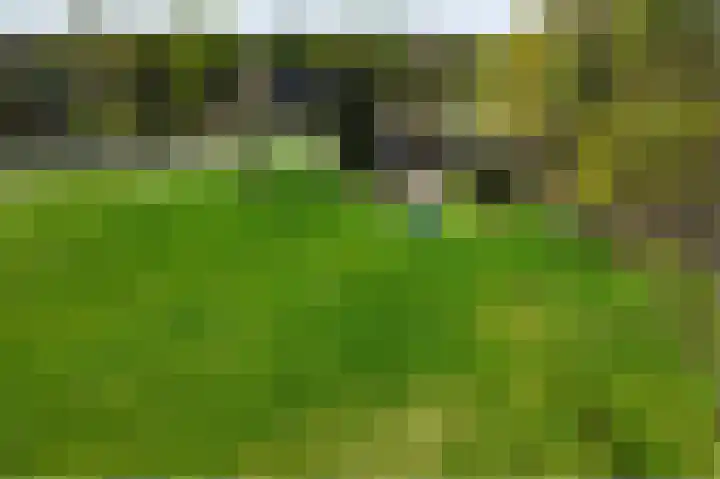 Eekterweg 3 Vaassen thumbnail 45
