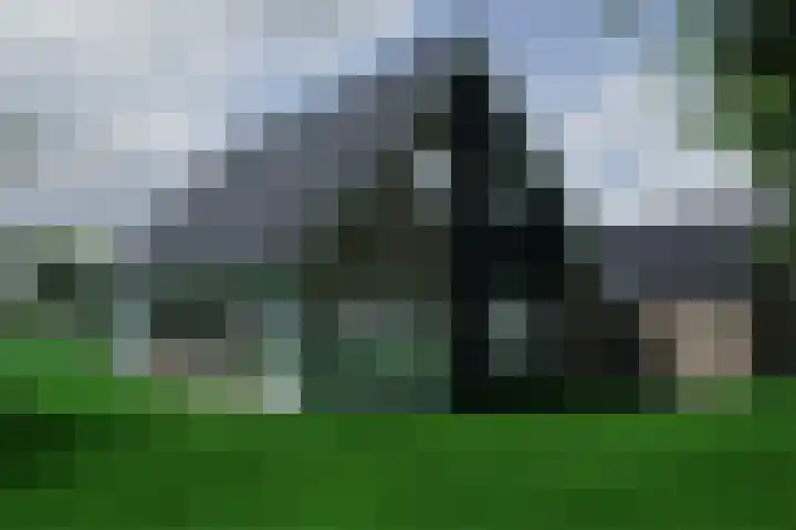 Eekterweg 3 Vaassen thumbnail 47
