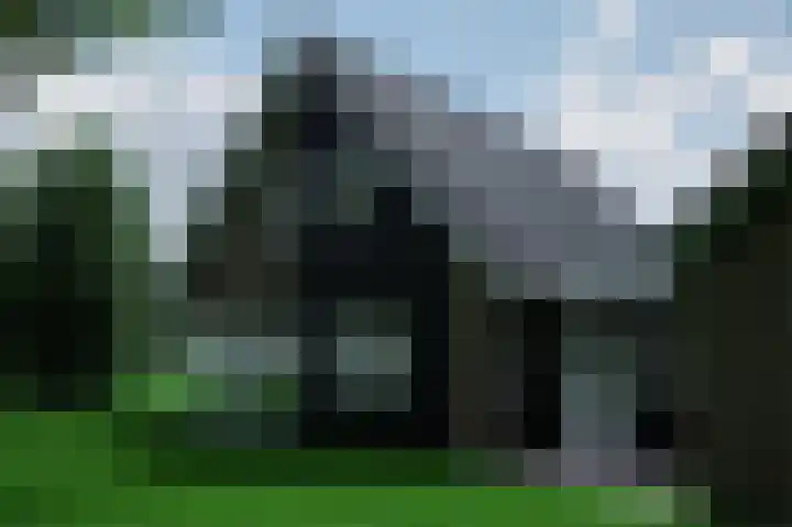 Eekterweg 3 Vaassen thumbnail 48