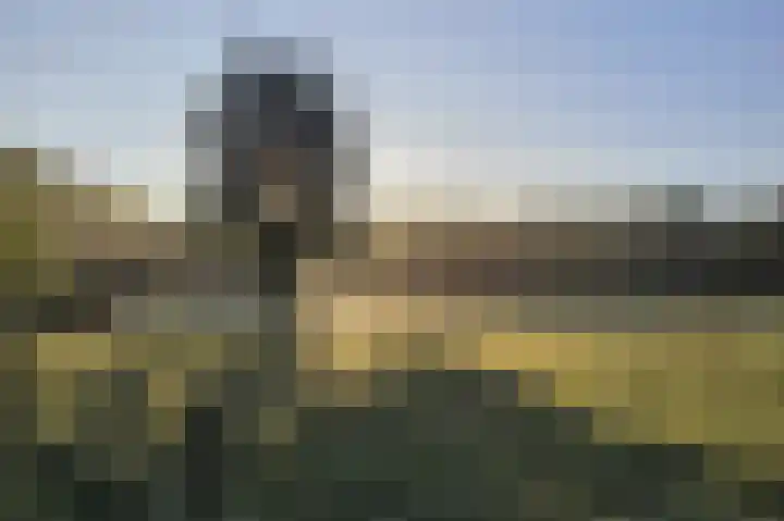 Eekterweg 3 Vaassen thumbnail 5