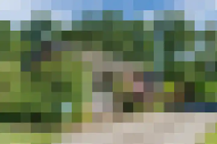 Eekterweg 3 Vaassen thumbnail 6