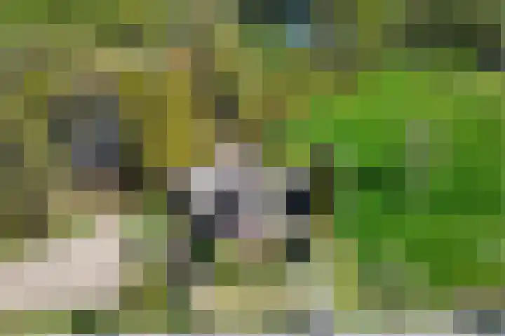 Eekterweg 3 Vaassen thumbnail 7