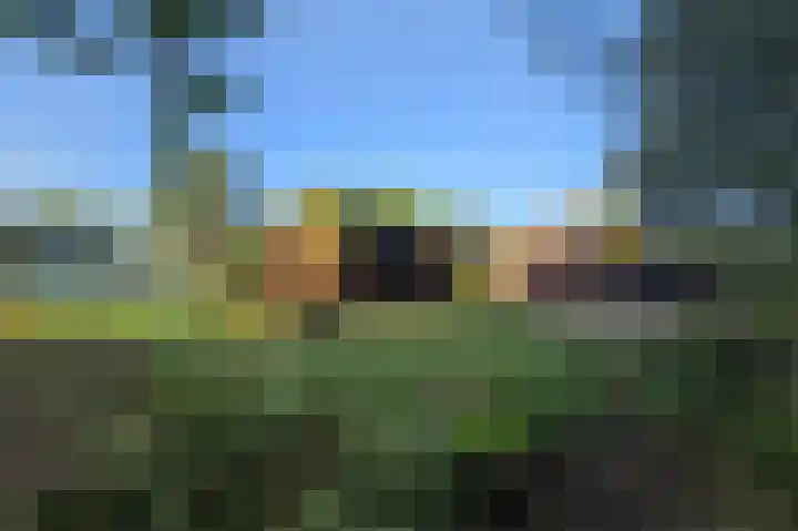 Eekterweg 3 Vaassen thumbnail 8