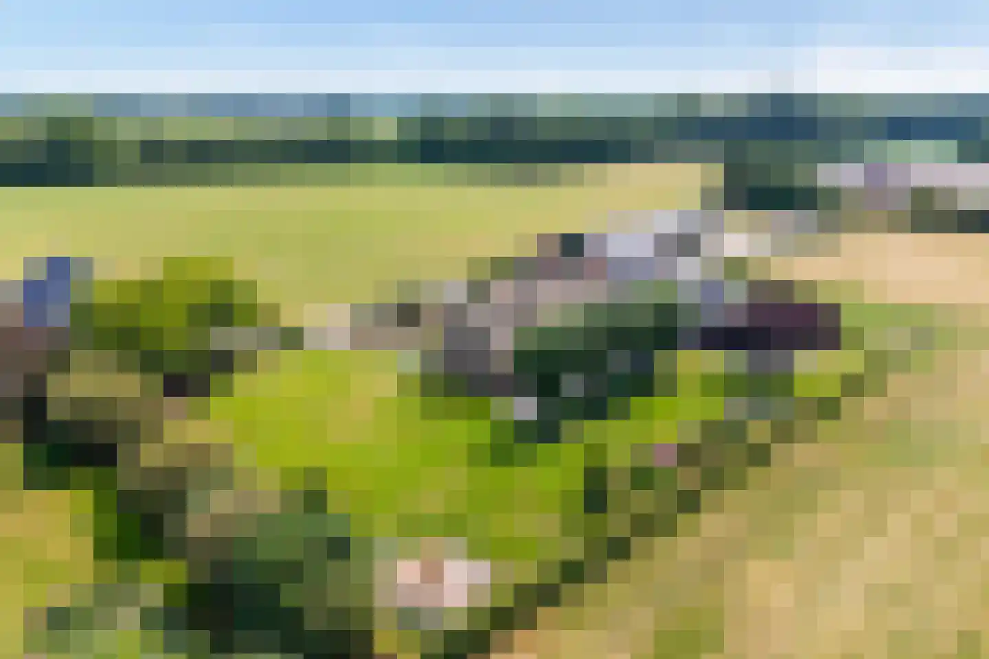 Eekteweg 3 Haarle thumbnail 11
