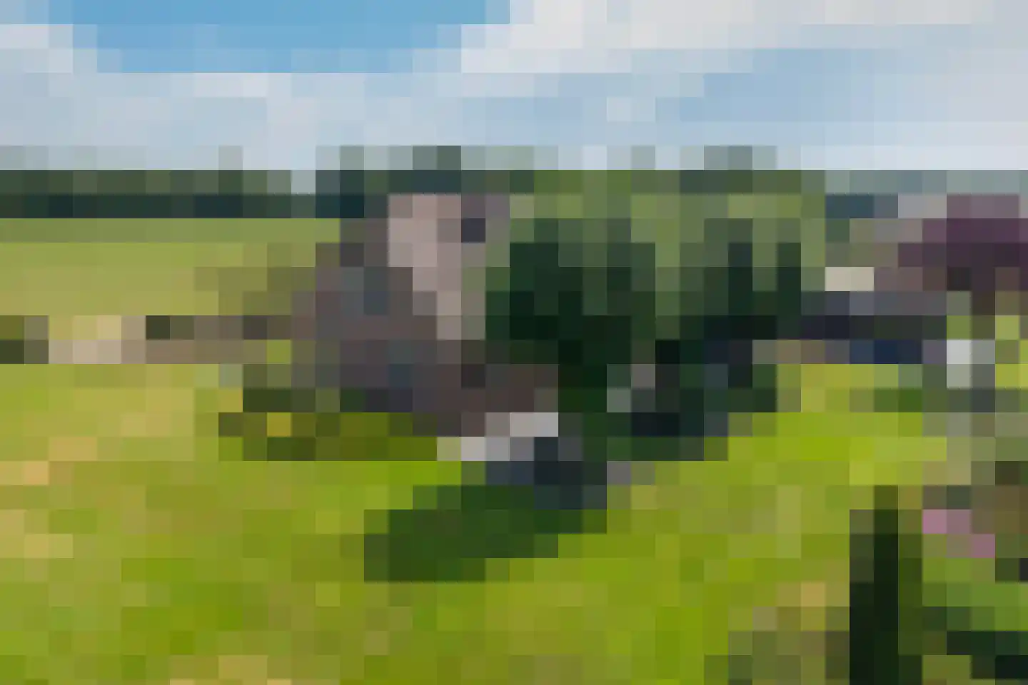 Eekteweg 3 Haarle thumbnail 12