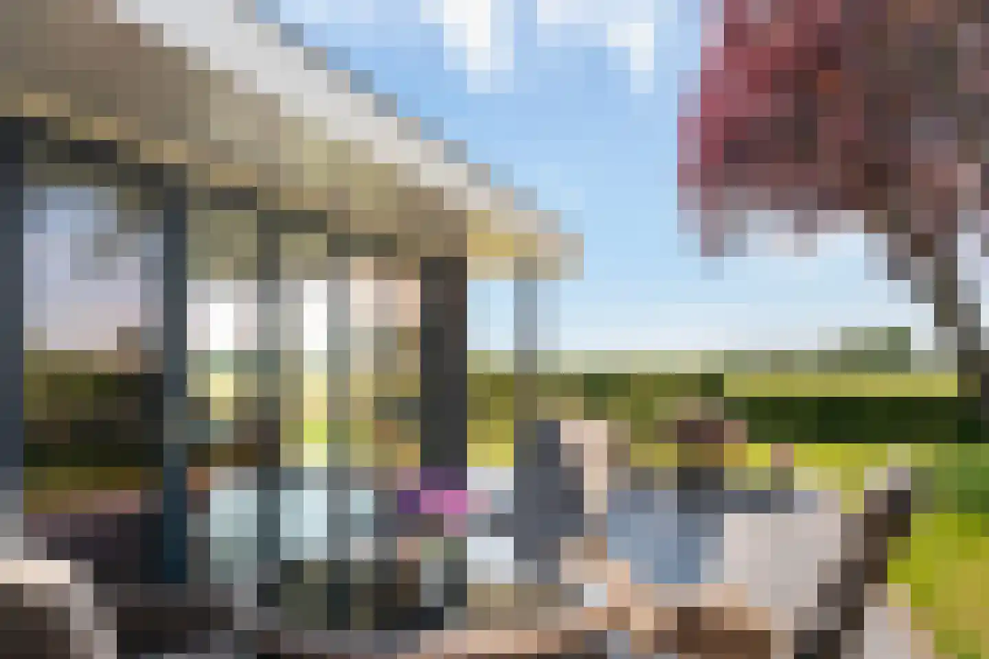 Eekteweg 3 Haarle thumbnail 14