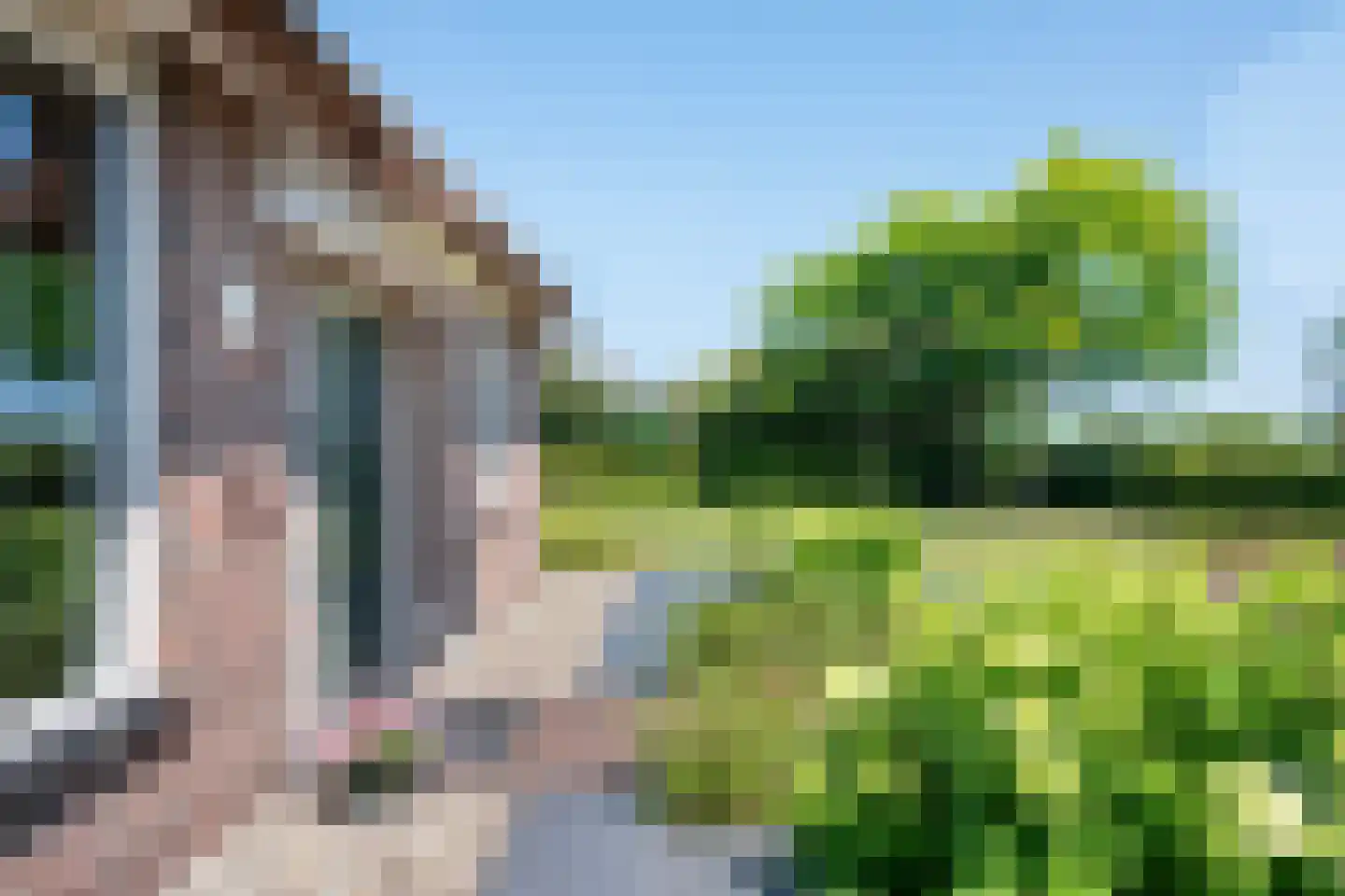 Eekteweg 3 Haarle thumbnail 18