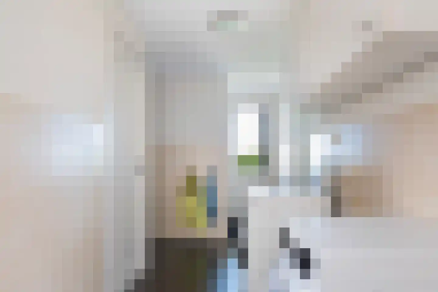 Eekteweg 3 Haarle thumbnail 35