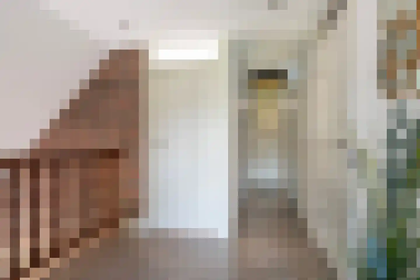 Eekteweg 3 Haarle thumbnail 36