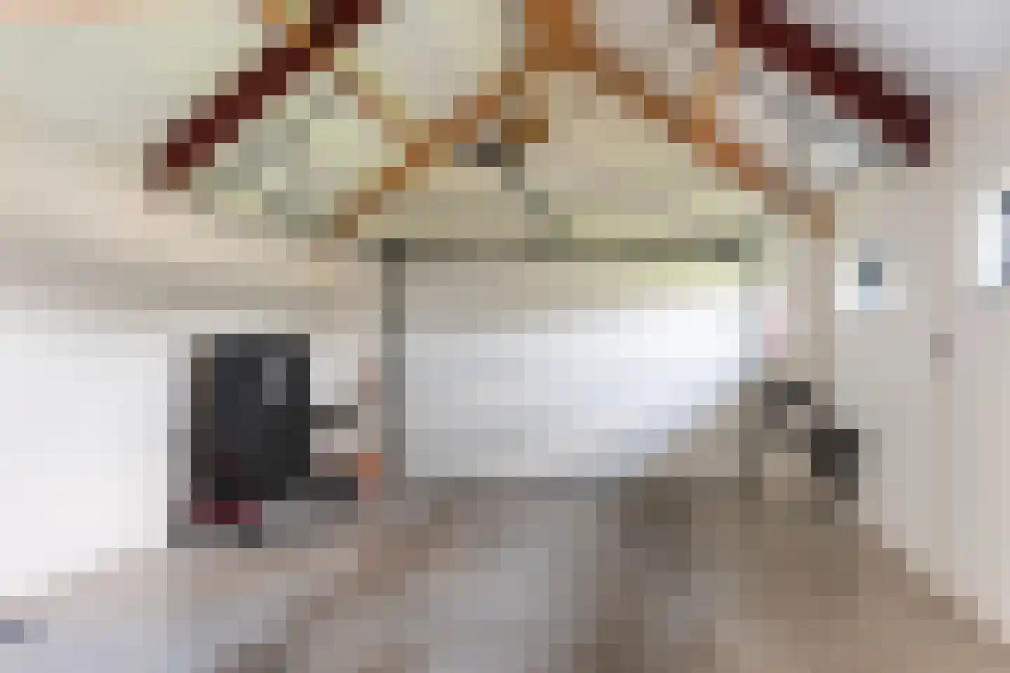 Eekteweg 3 Haarle thumbnail 55