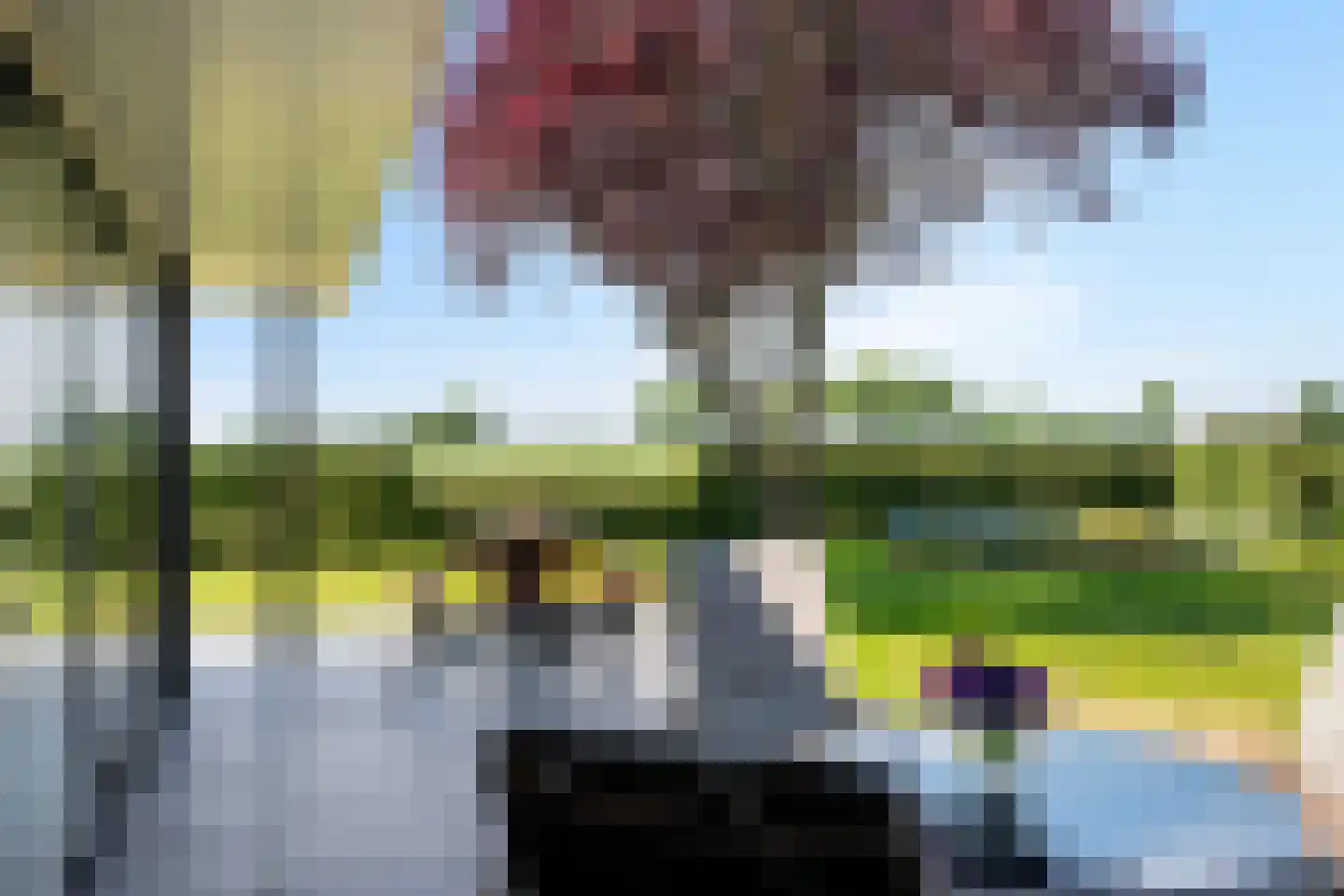 Eekteweg 3 Haarle thumbnail 57