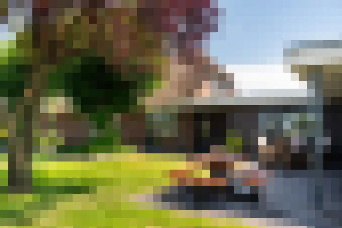 Eekteweg 3 Haarle thumbnail 60
