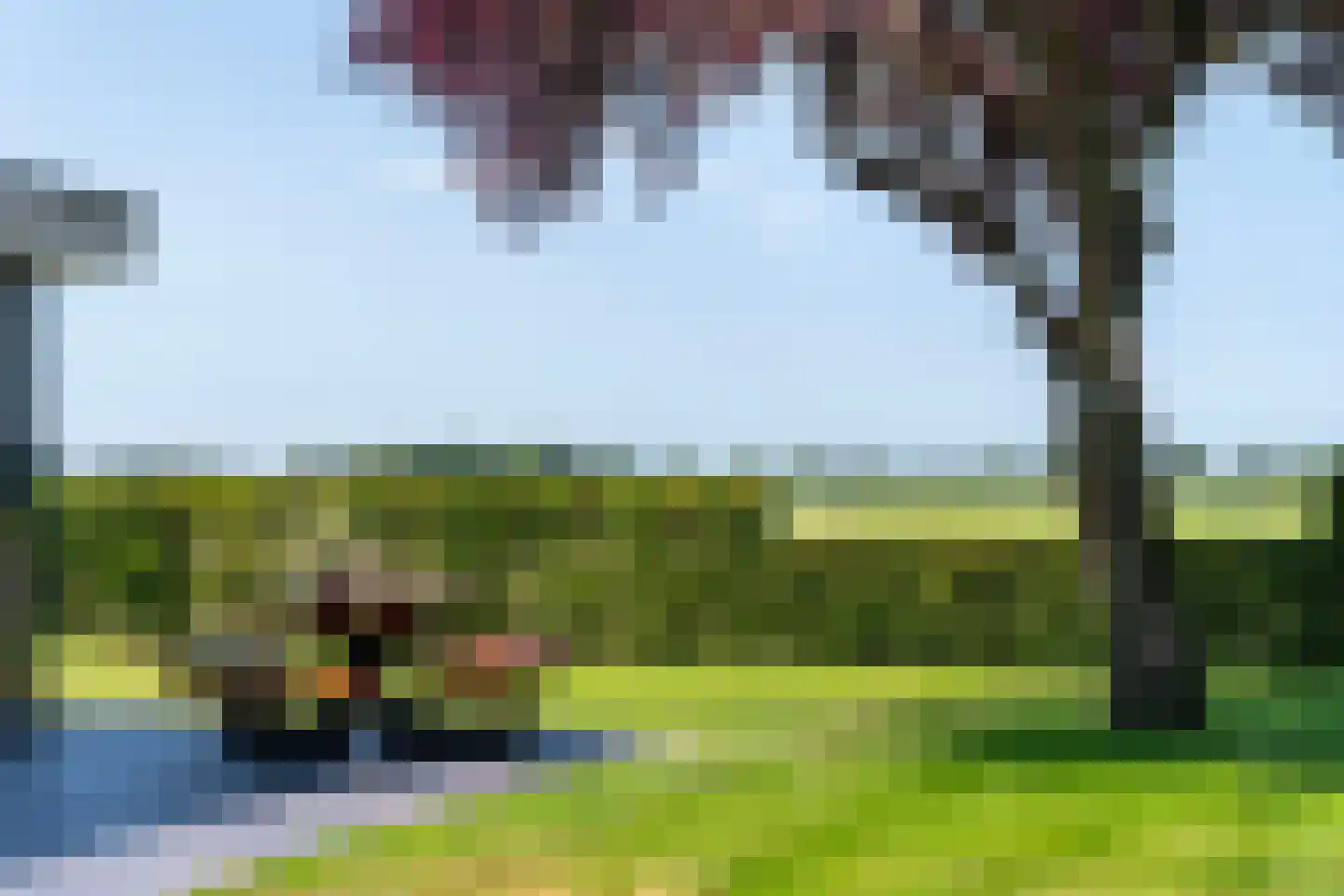 Eekteweg 3 Haarle thumbnail 62