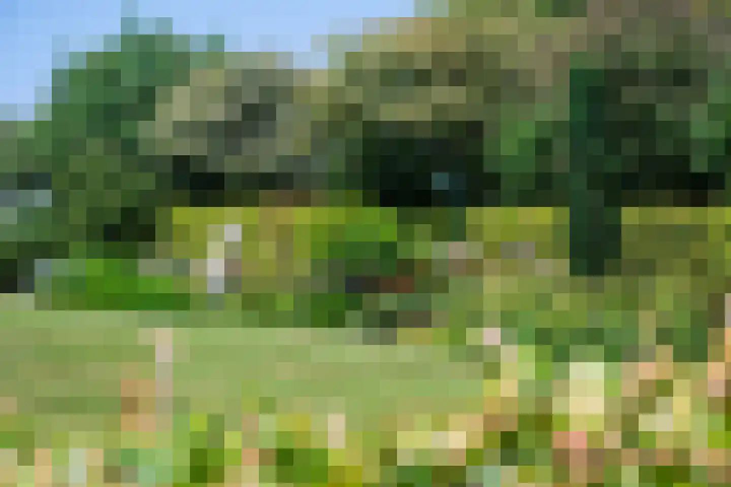 Eekteweg 3 Haarle thumbnail 65