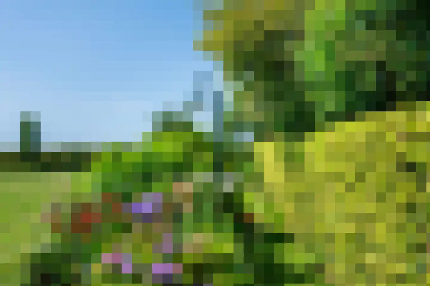 Eekteweg 3 Haarle thumbnail 66