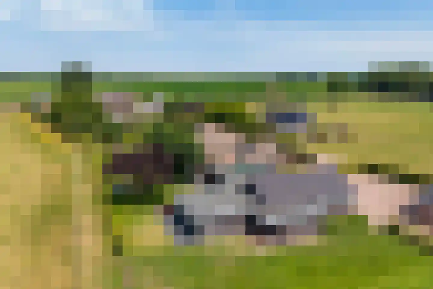 Eekteweg 3 Haarle thumbnail 77