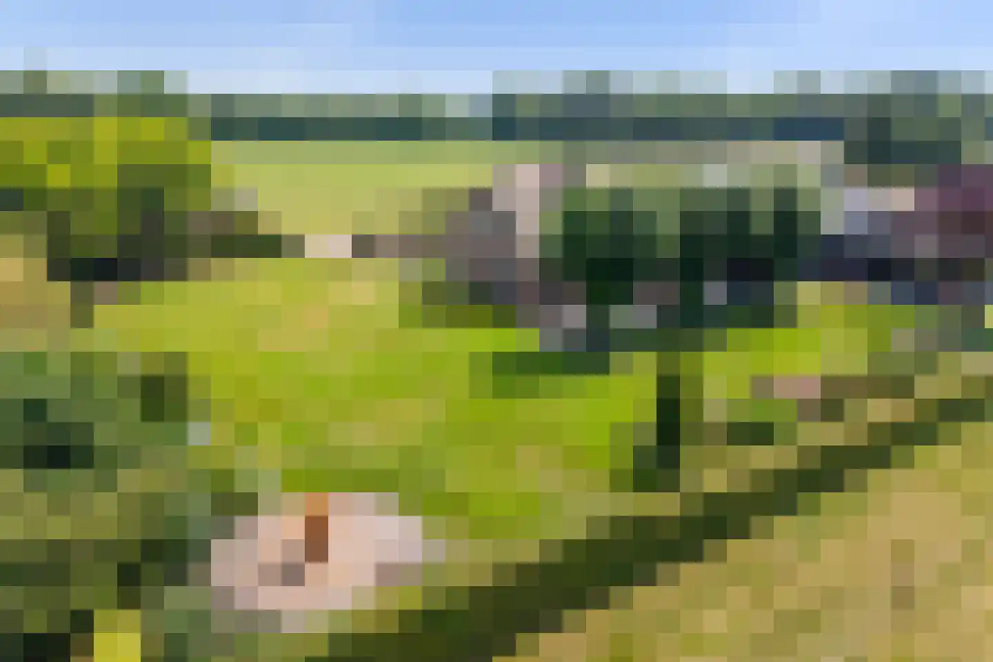 Eekteweg 3 Haarle thumbnail 78