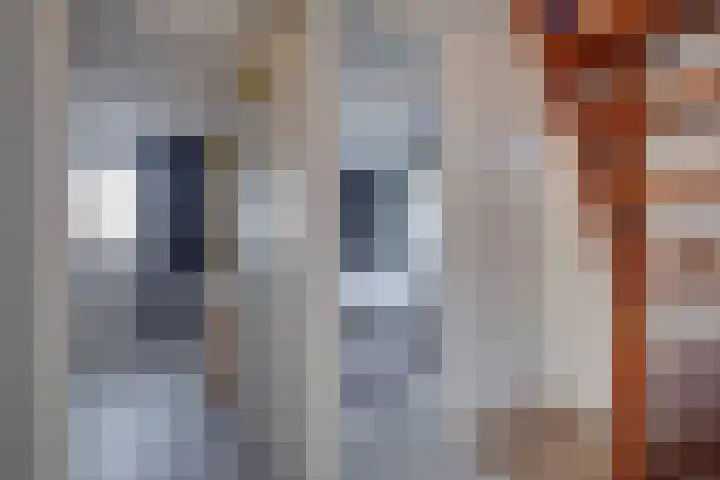 Eekvenne 12 Barchem thumbnail 18