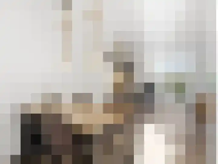 Eekwal 49 Renkum thumbnail 18