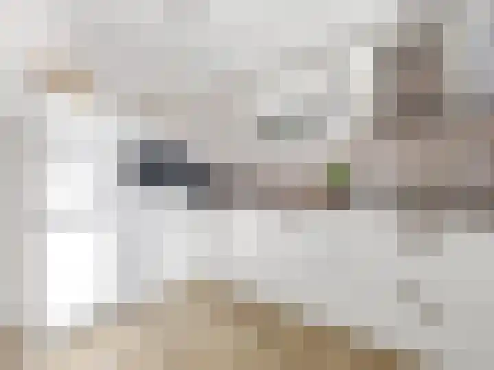 Eekwal 49 Renkum thumbnail 20