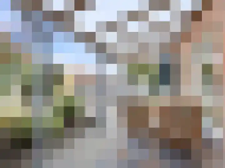 Eekwal 49 Renkum thumbnail 34