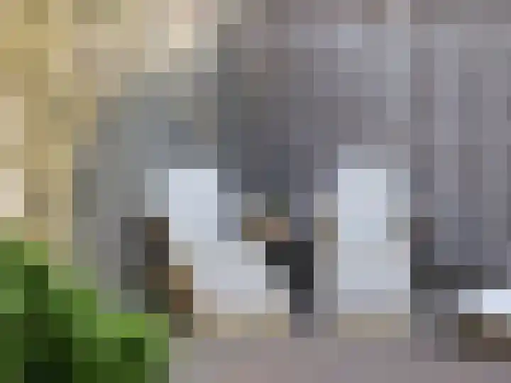 Eekwal 49 Renkum thumbnail 36