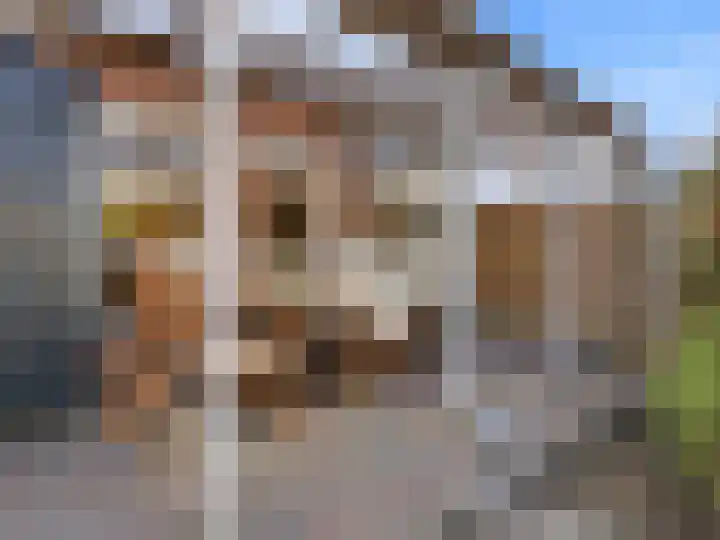 Eekwal 49 Renkum thumbnail 40