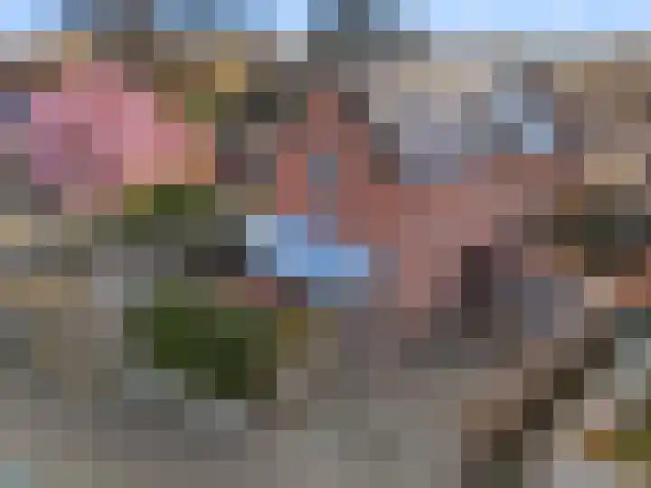 Eekwal 49 Renkum thumbnail 5