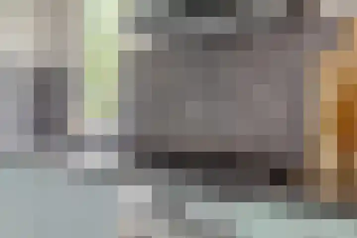 Eekwal 55 Renkum thumbnail 16