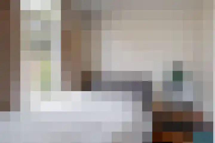 Eekwal 55 Renkum thumbnail 18
