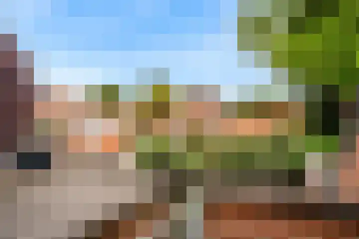 Eekwal 55 Renkum thumbnail 32
