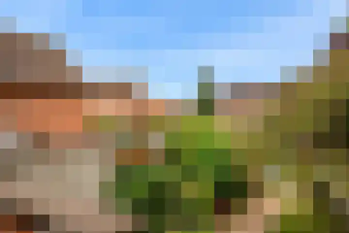 Eekwal 55 Renkum thumbnail 40