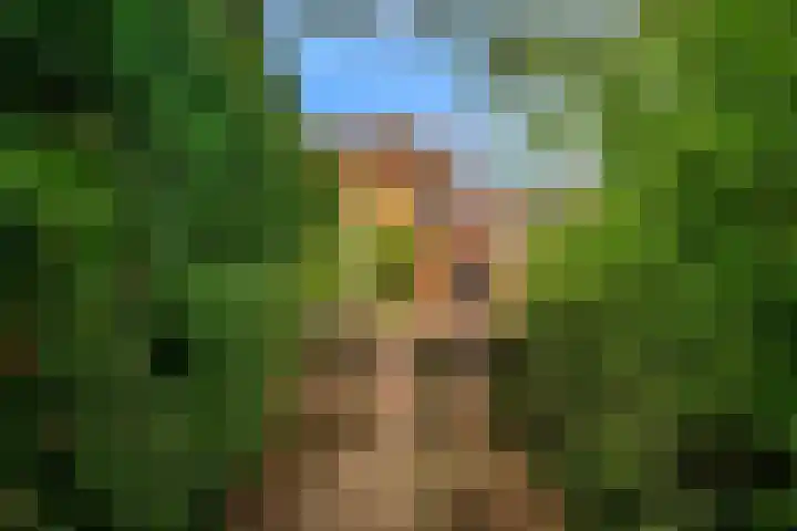 Eekwal 55 Renkum thumbnail 43