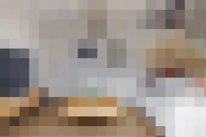 Eekwal 55 Renkum thumbnail 6