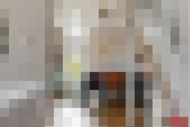 Eekwal 55 Renkum thumbnail 8