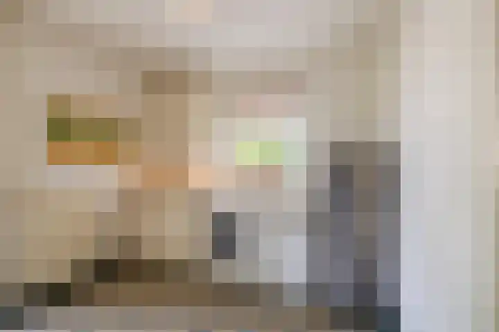 Eekwal 6 Veenendaal thumbnail 21