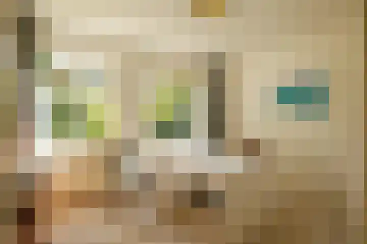 Eekwal 6 Veenendaal thumbnail 23