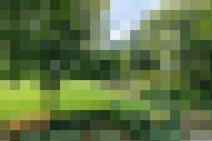 Eekwal 6 Veenendaal thumbnail 29