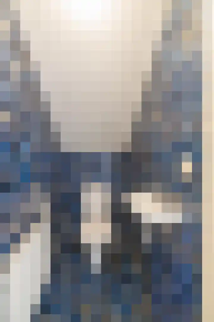 Eekwal 6 Veenendaal thumbnail 38