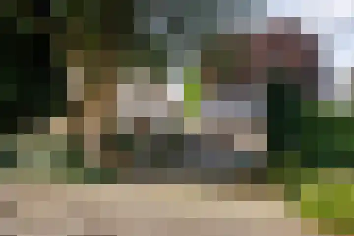 Eekwal 6 Veenendaal thumbnail 4