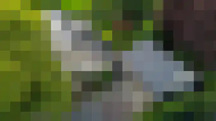 Eekwal 6 Veenendaal thumbnail 42