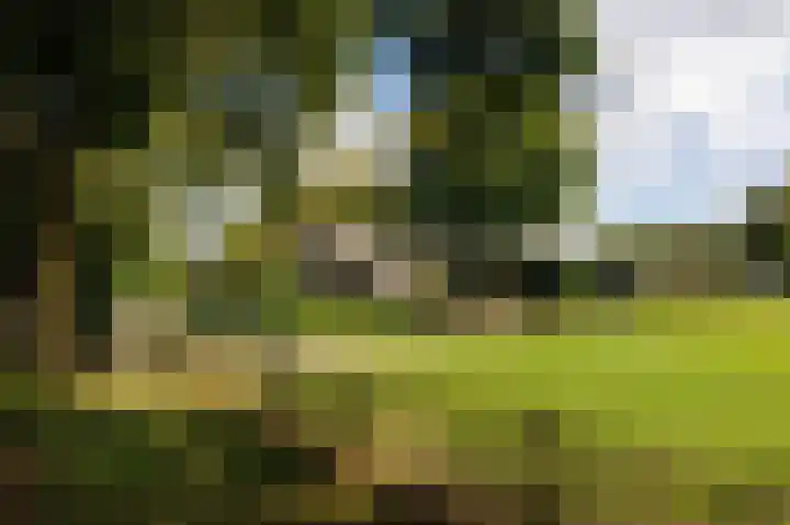 Eekwal 6 Veenendaal thumbnail 43